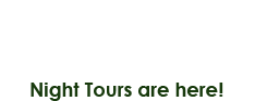 night tours