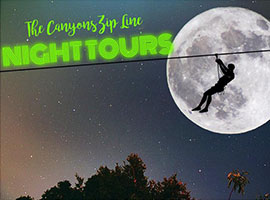 canopy adventure zip line tours