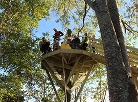 canopy adventure zip line tours