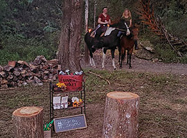 canopy adventure zip line tours